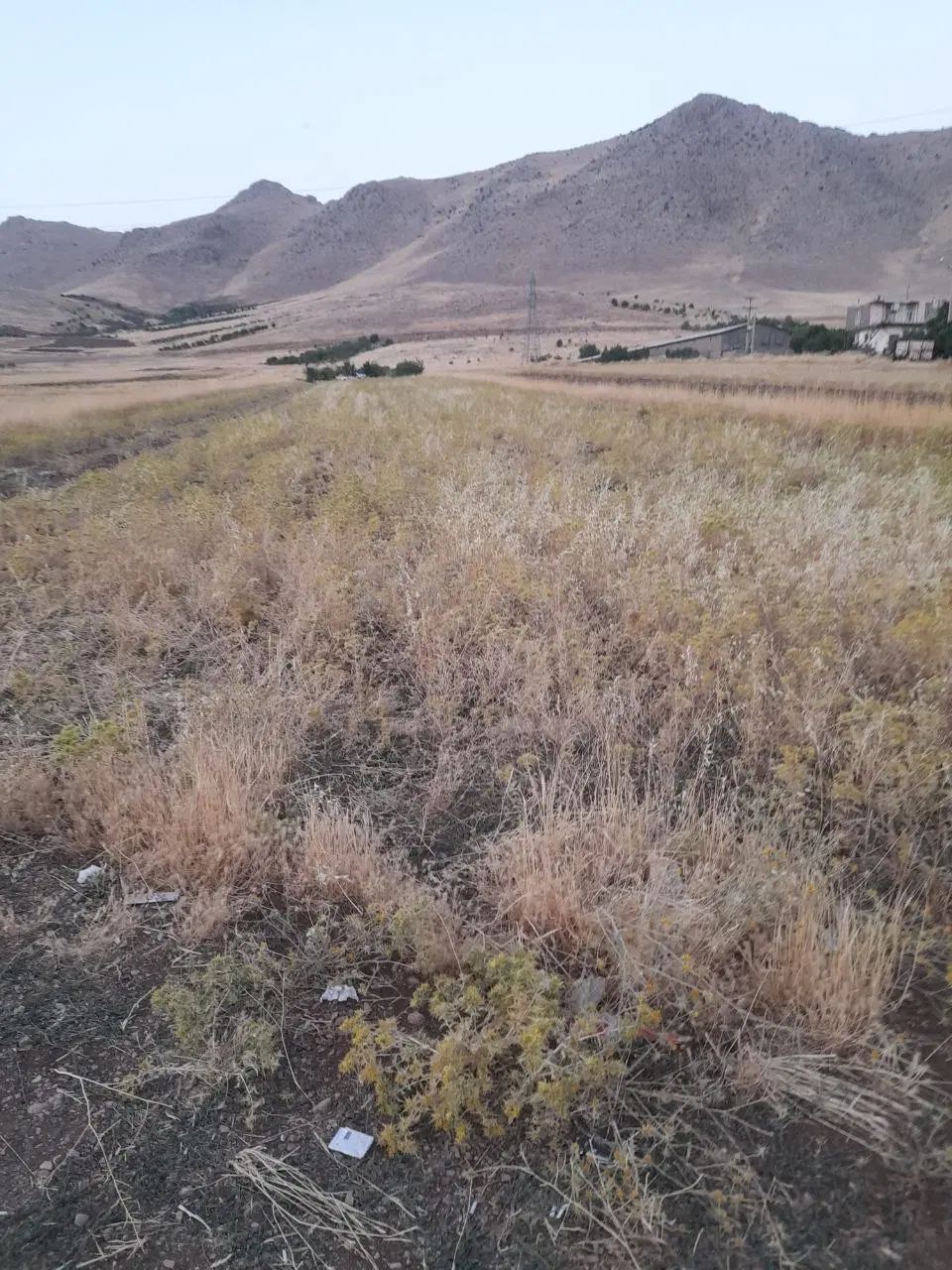 آگهی فروش زمین