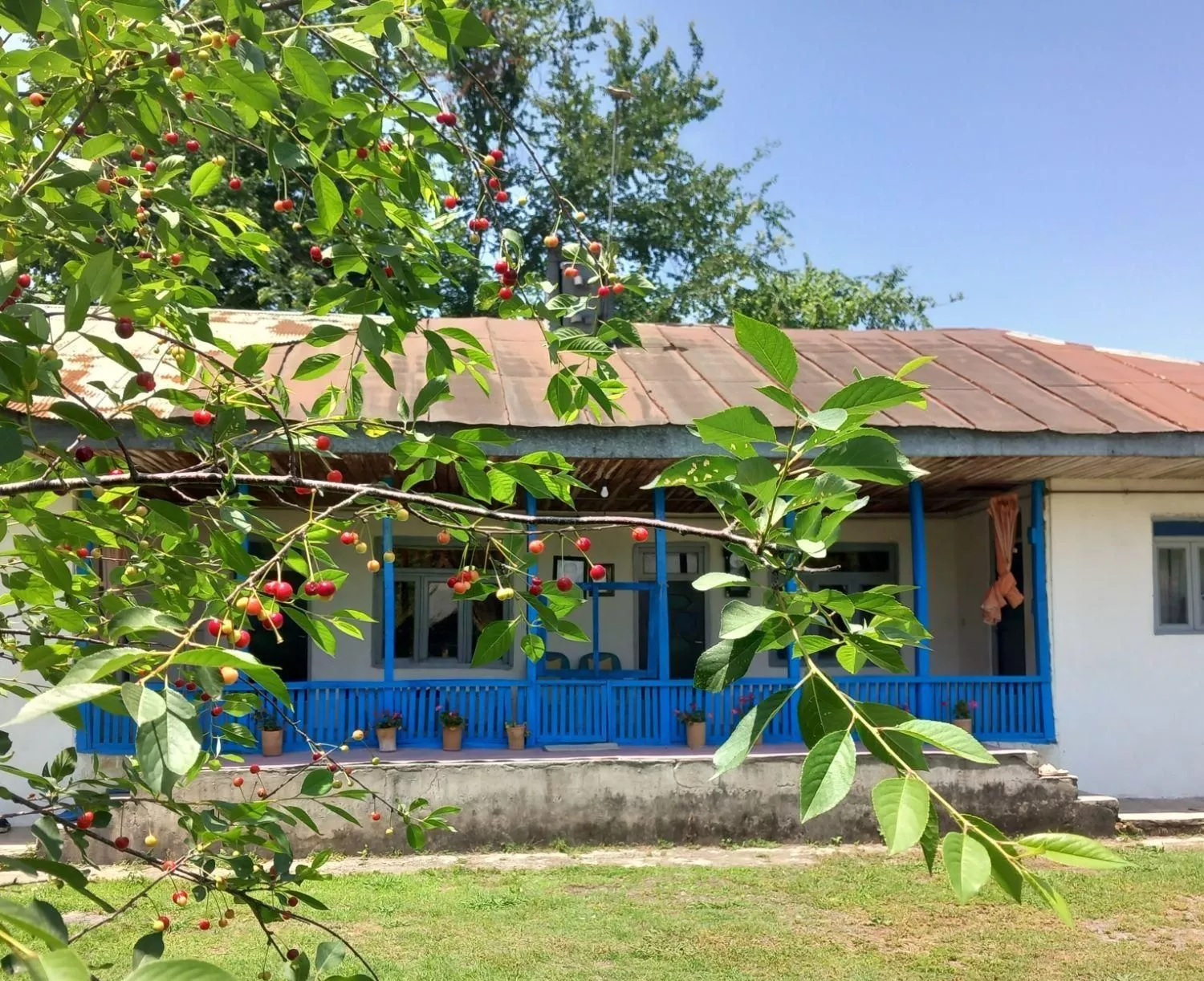 اجاره روزانه ویلا روستایی