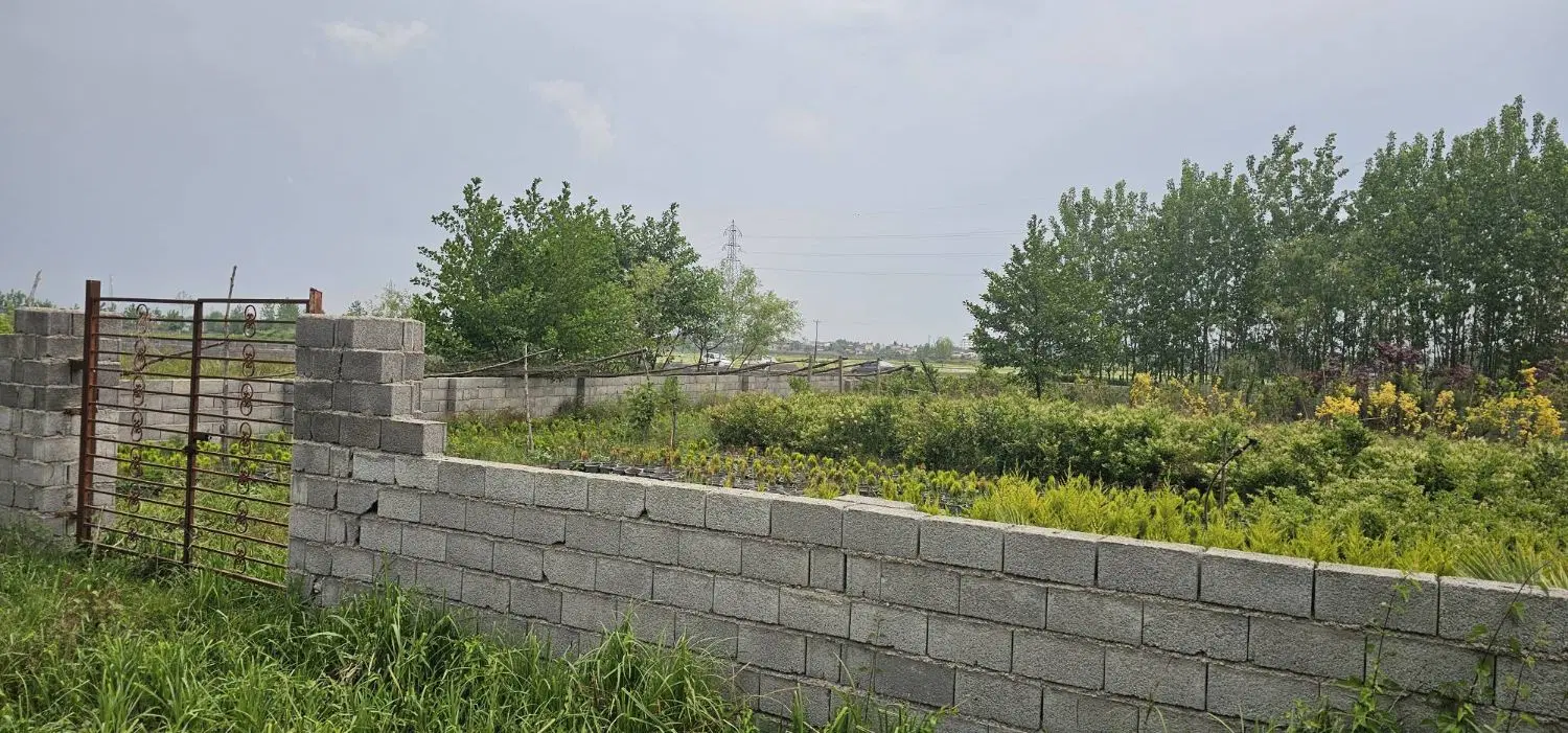 زمین 250 متری