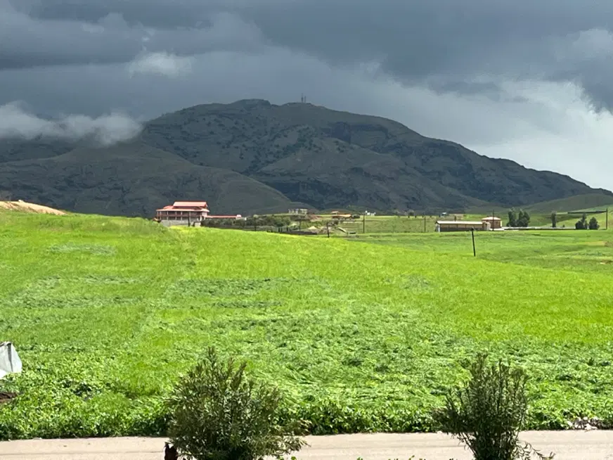 فروش زمین ۱۰۰۰ متری در هلایجان روستای شهرک طالقانی