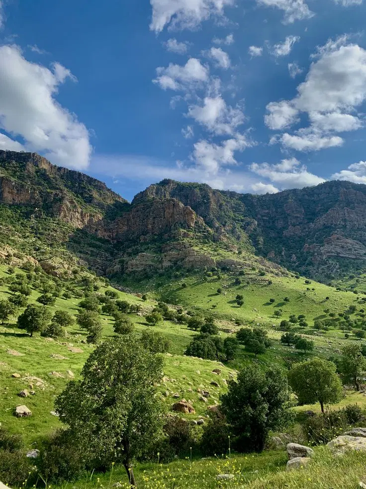 زمین قار