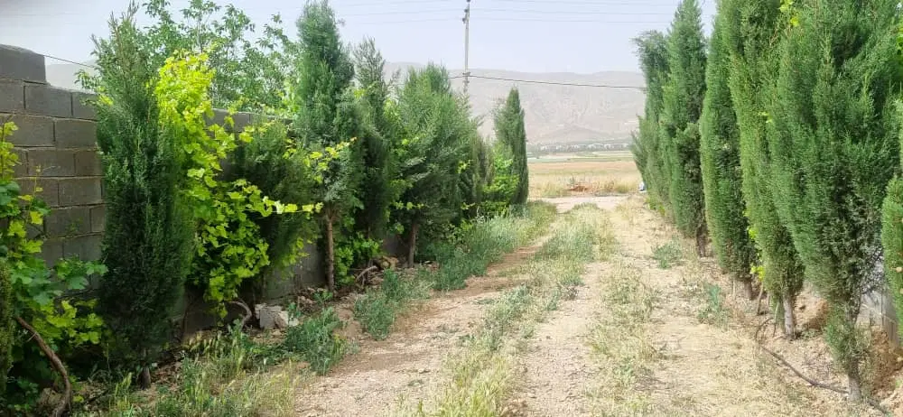 زمین ۲۸۰ متری البرز ۳