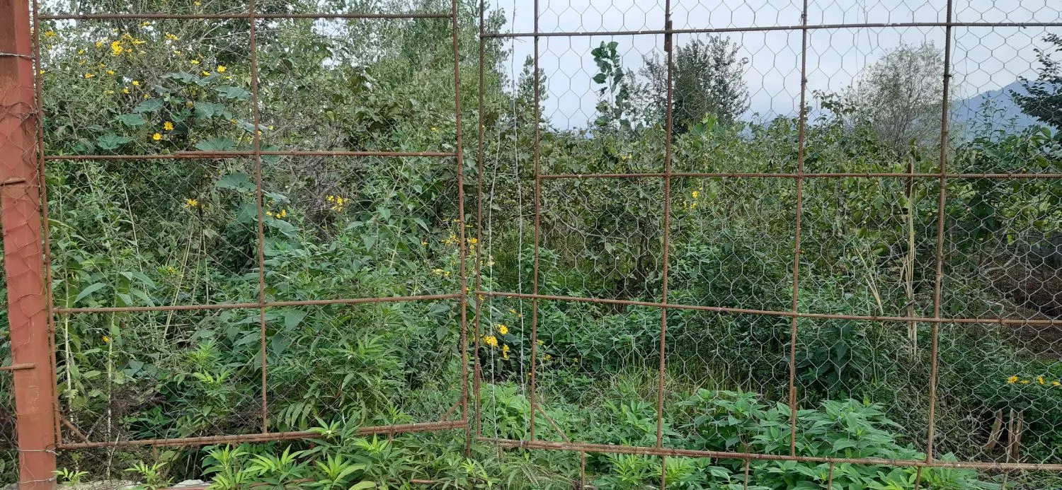 فروش زمین برای سرمایه‌گذاری