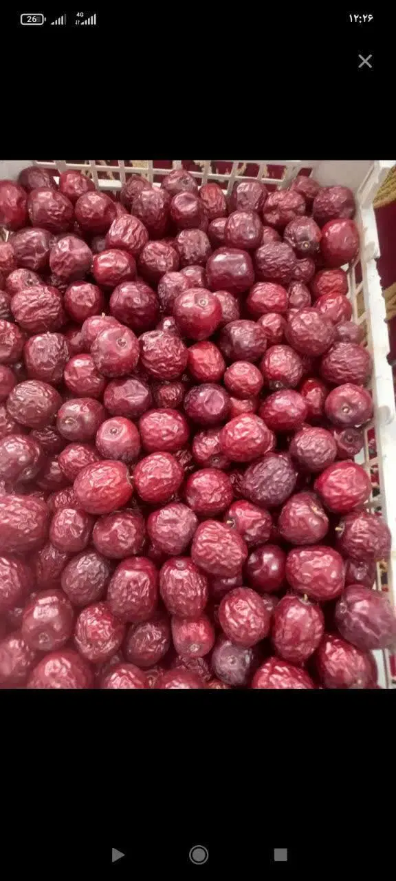 میوه سرماخوردگی