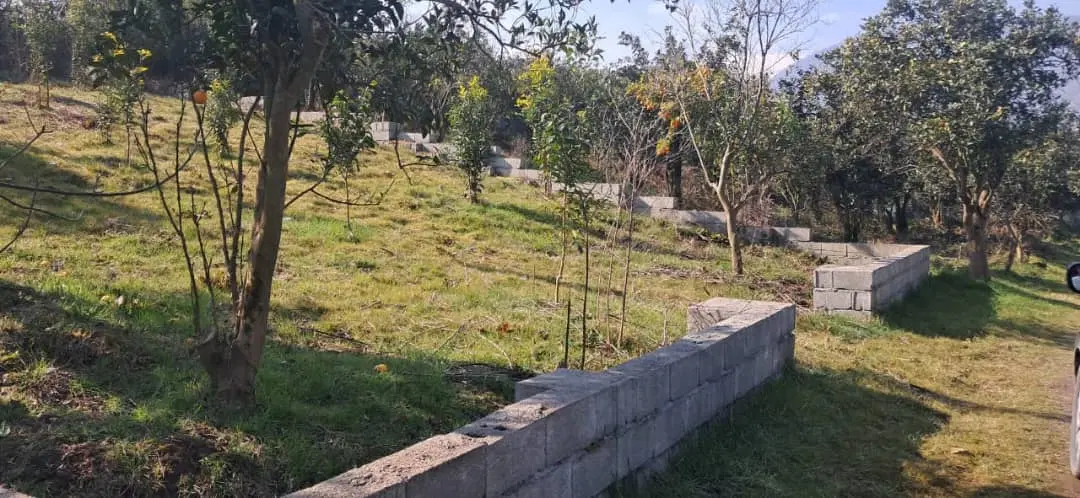 زمین 250متری