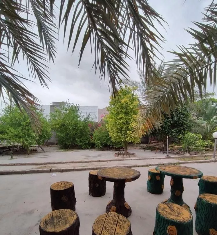 تولد و مهمانی