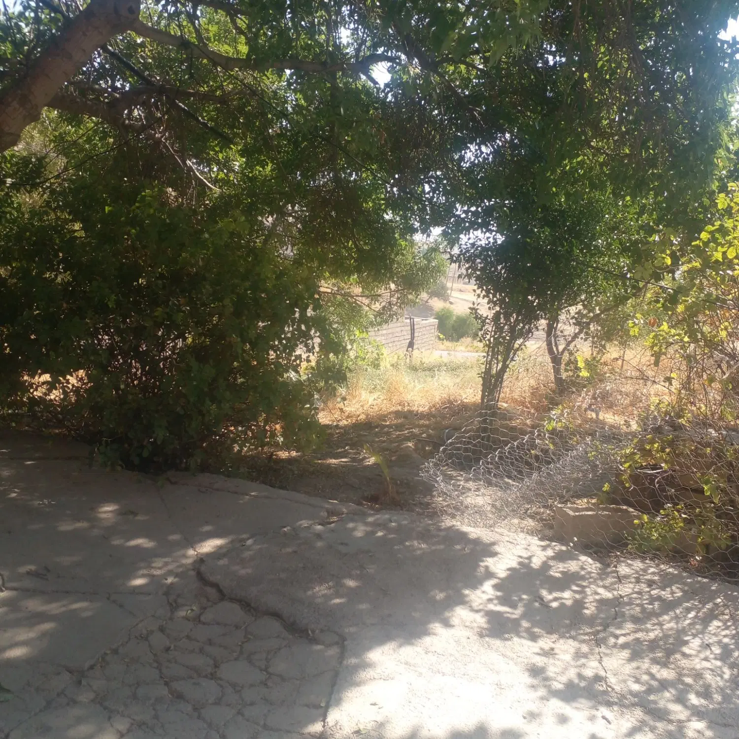 خانه اجاره ای