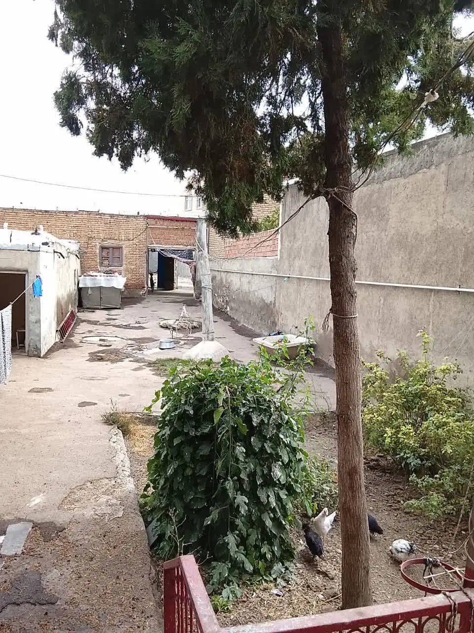 خانه