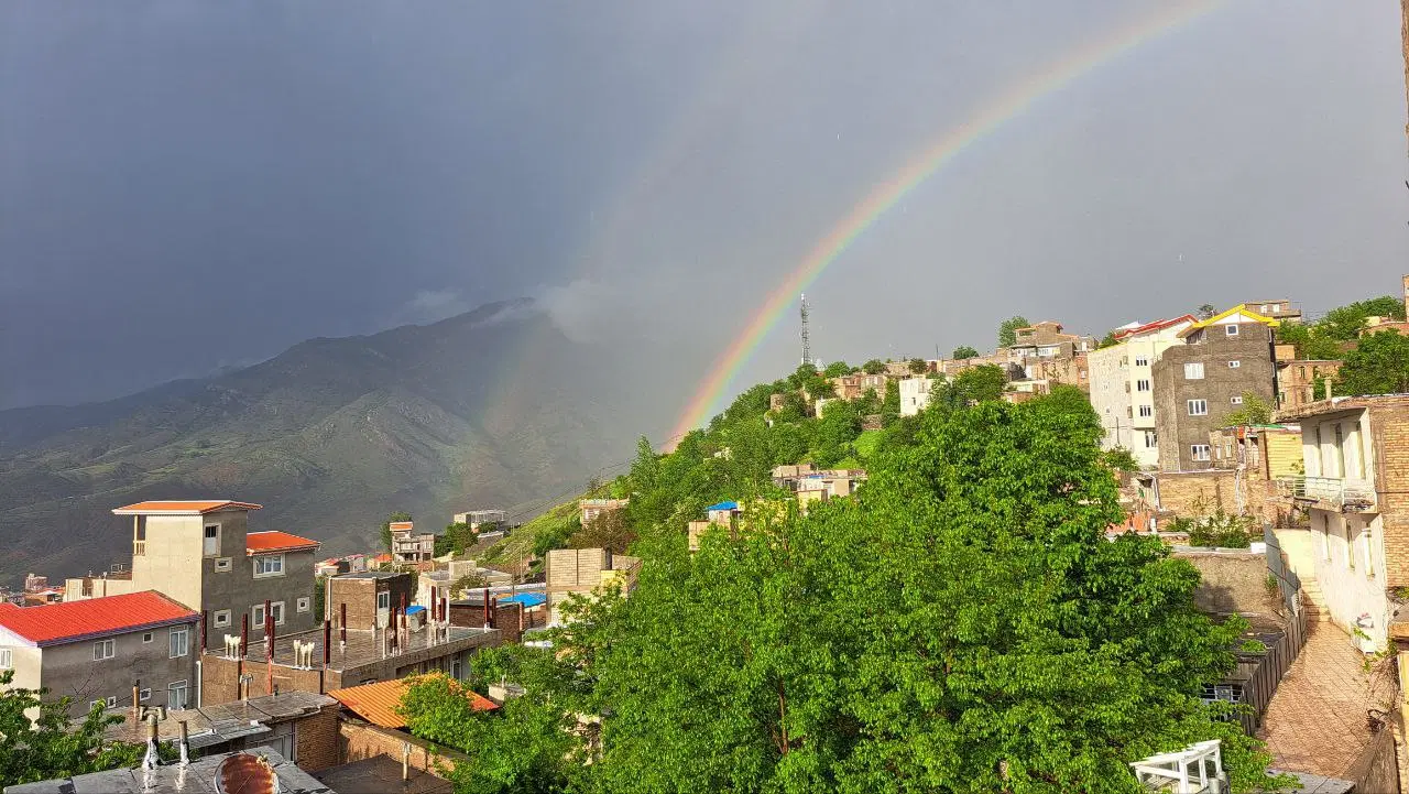زمین در شجاع آباد