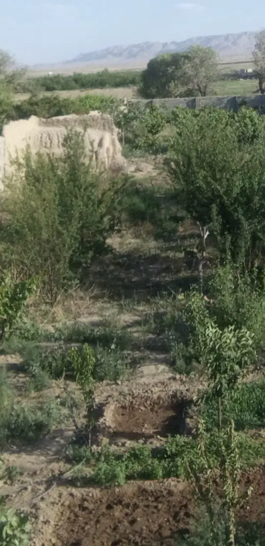 فروش باغ