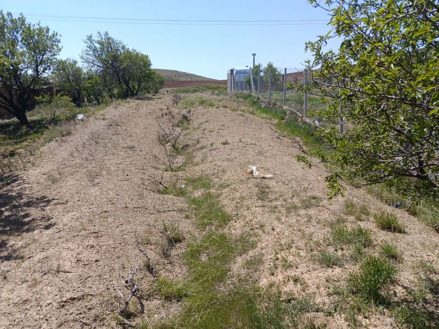 باغ فروشی در روستای علنقیه