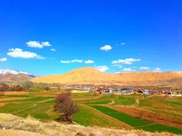 زمیـن در روستـای خوش آبوهوای کامـو