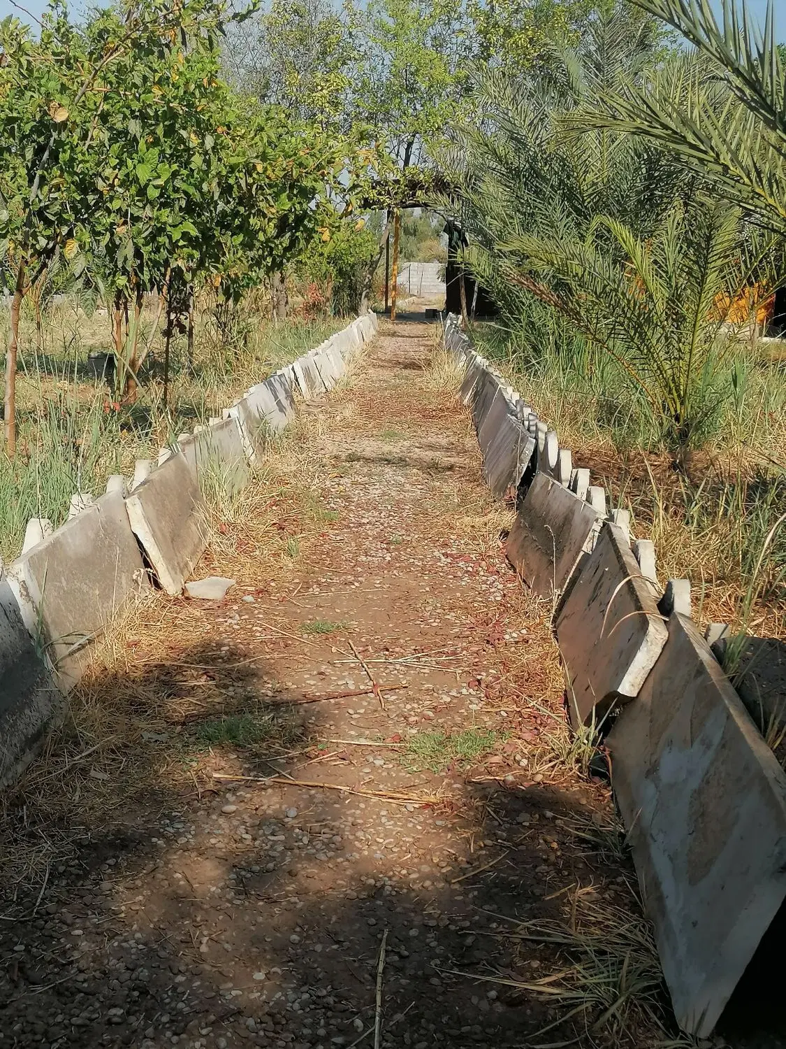 باغ ویلا