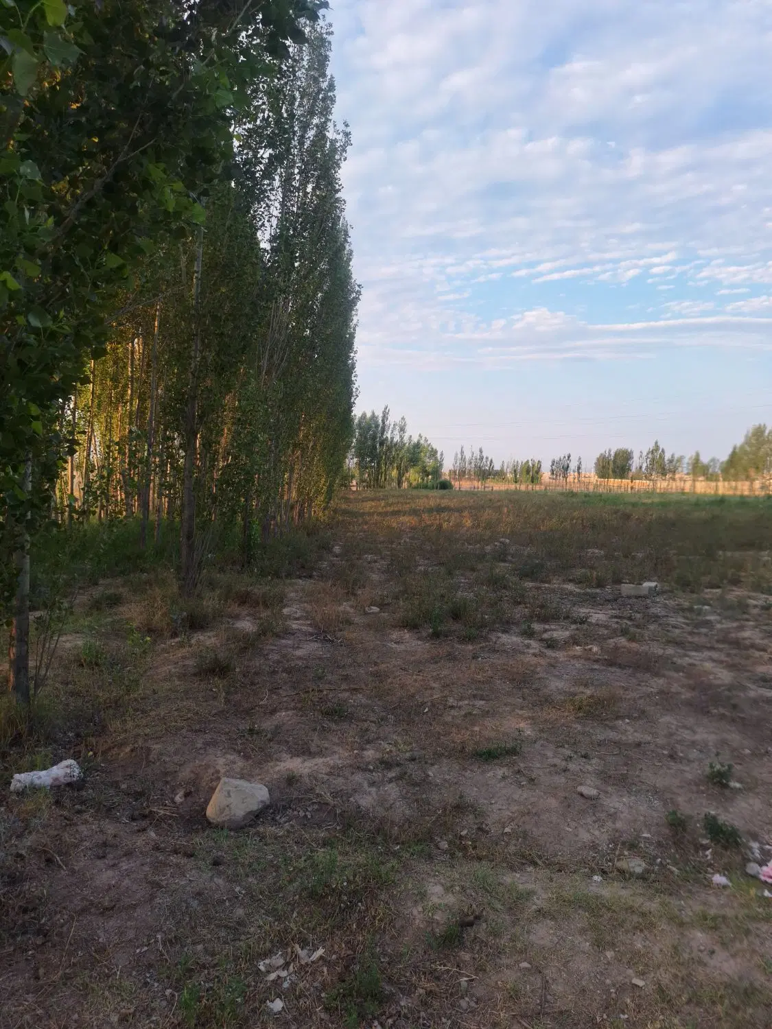 زمین باغ