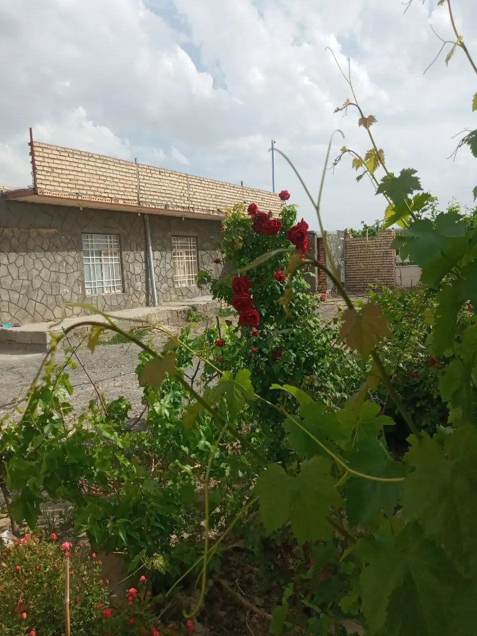 خونه جهت اسکان یک نفر خانوم