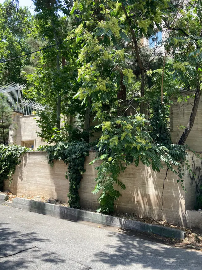 کامرانیه شمالی ۶۵۰متر ویلایی
