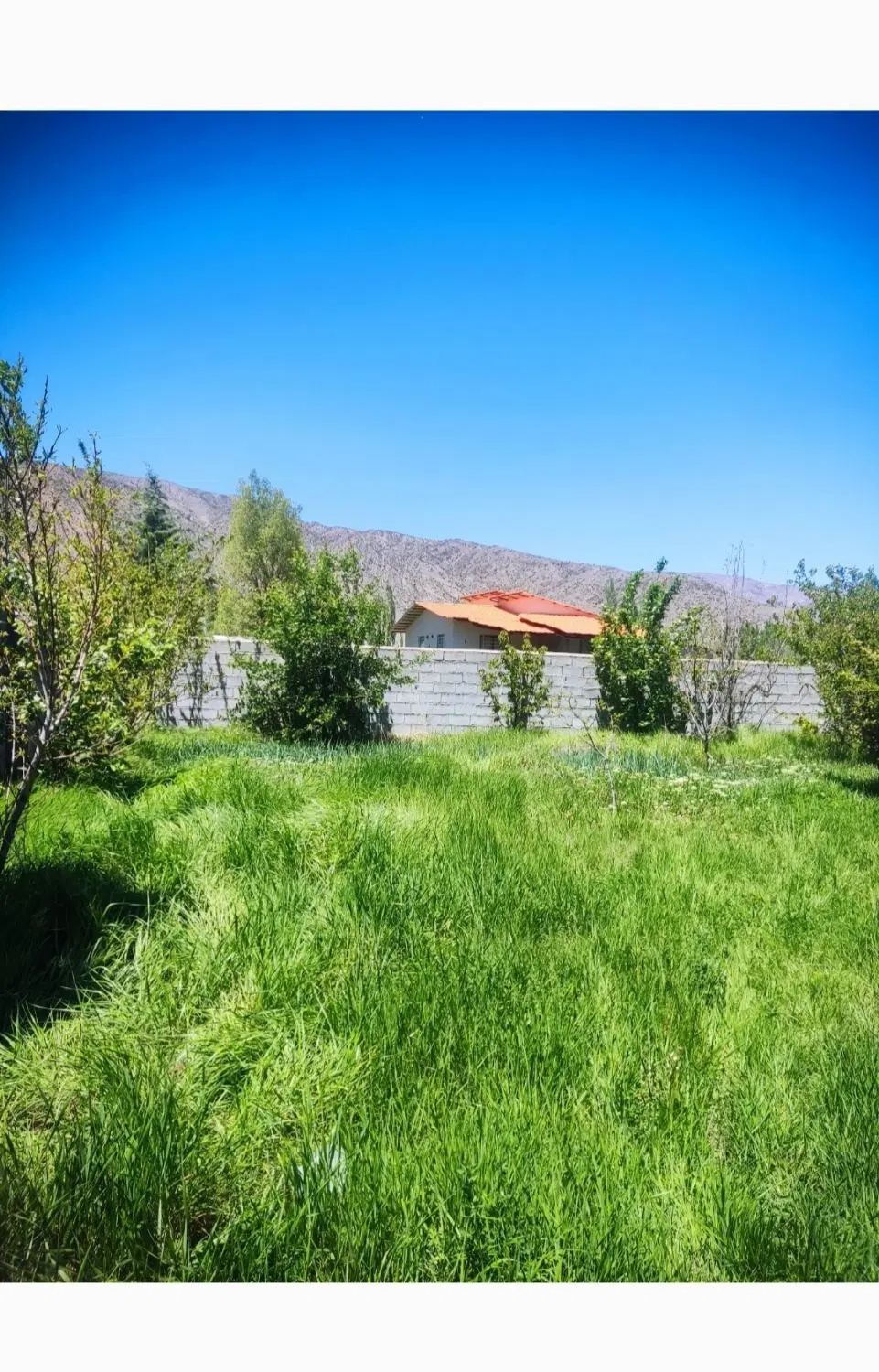 زمین سرمایه‌گذاری _ ۳۰۰ متر به بالا