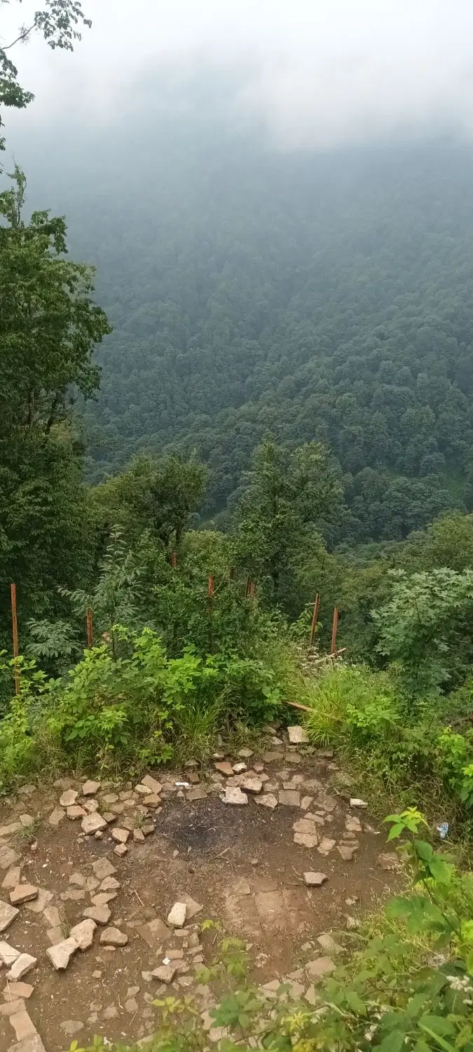 زمین علوم پزشکی سروک