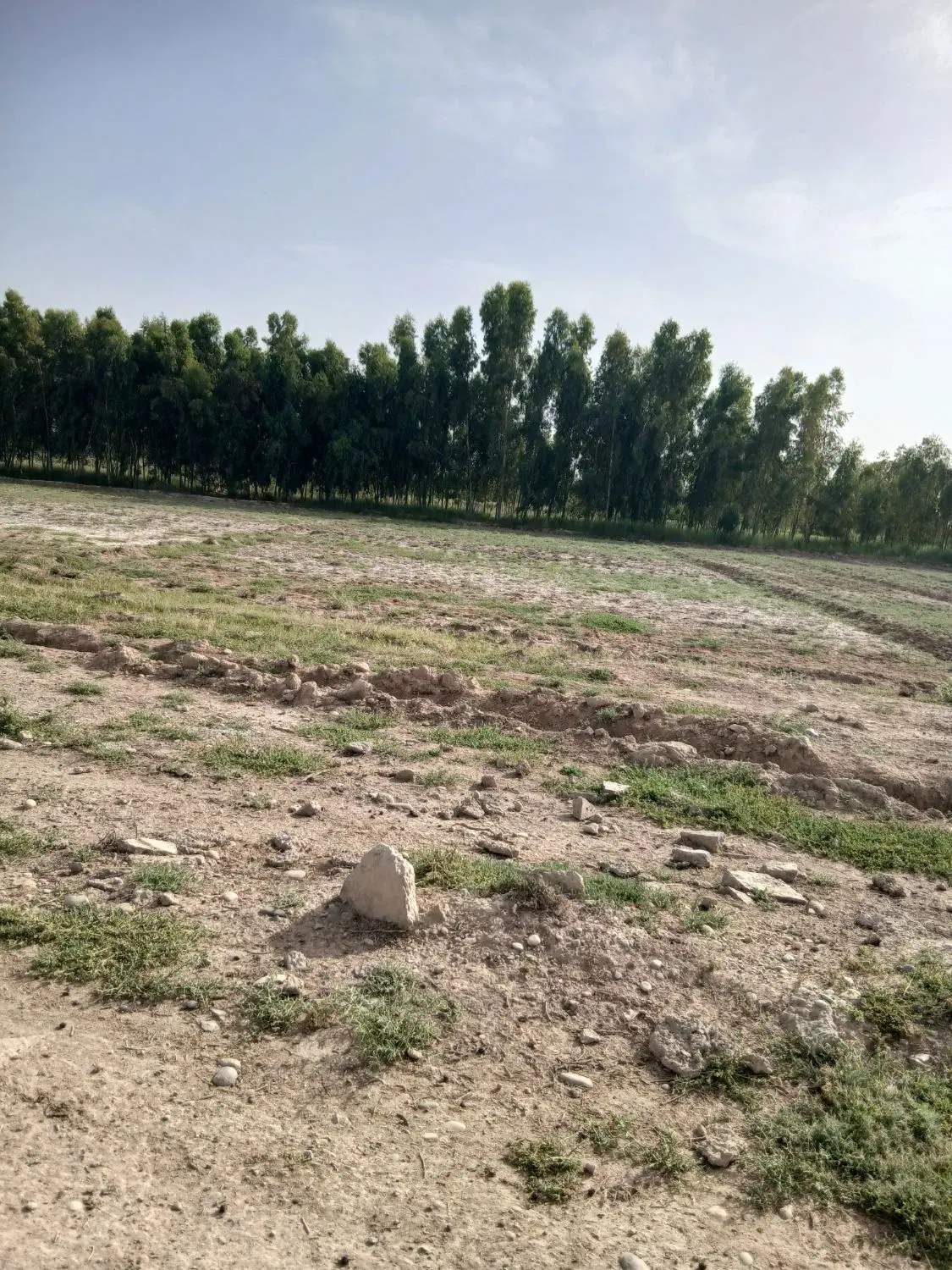 ۱۰۰۰ متر زمین  جنت مکان،