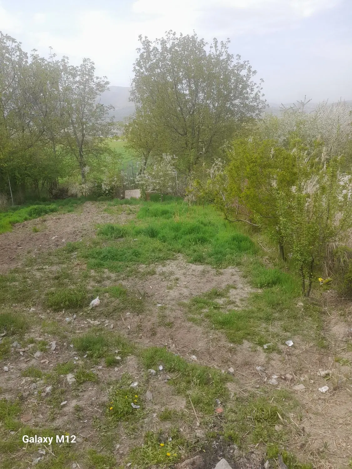 زمین کشاورزی