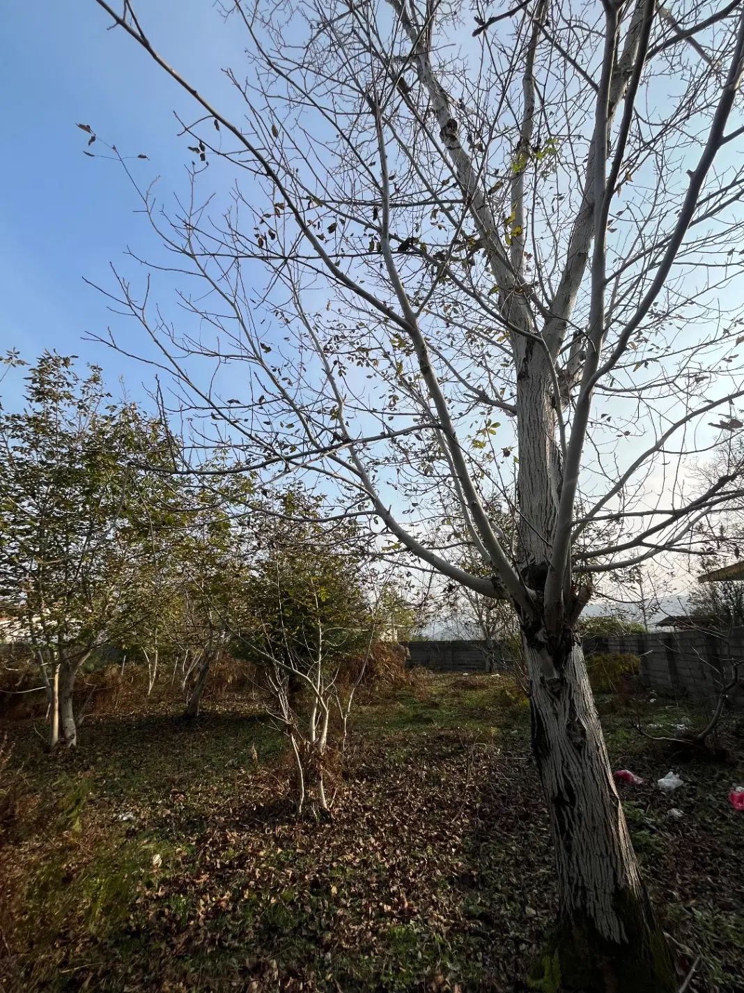 زمین مسکونی با سند تک برگ