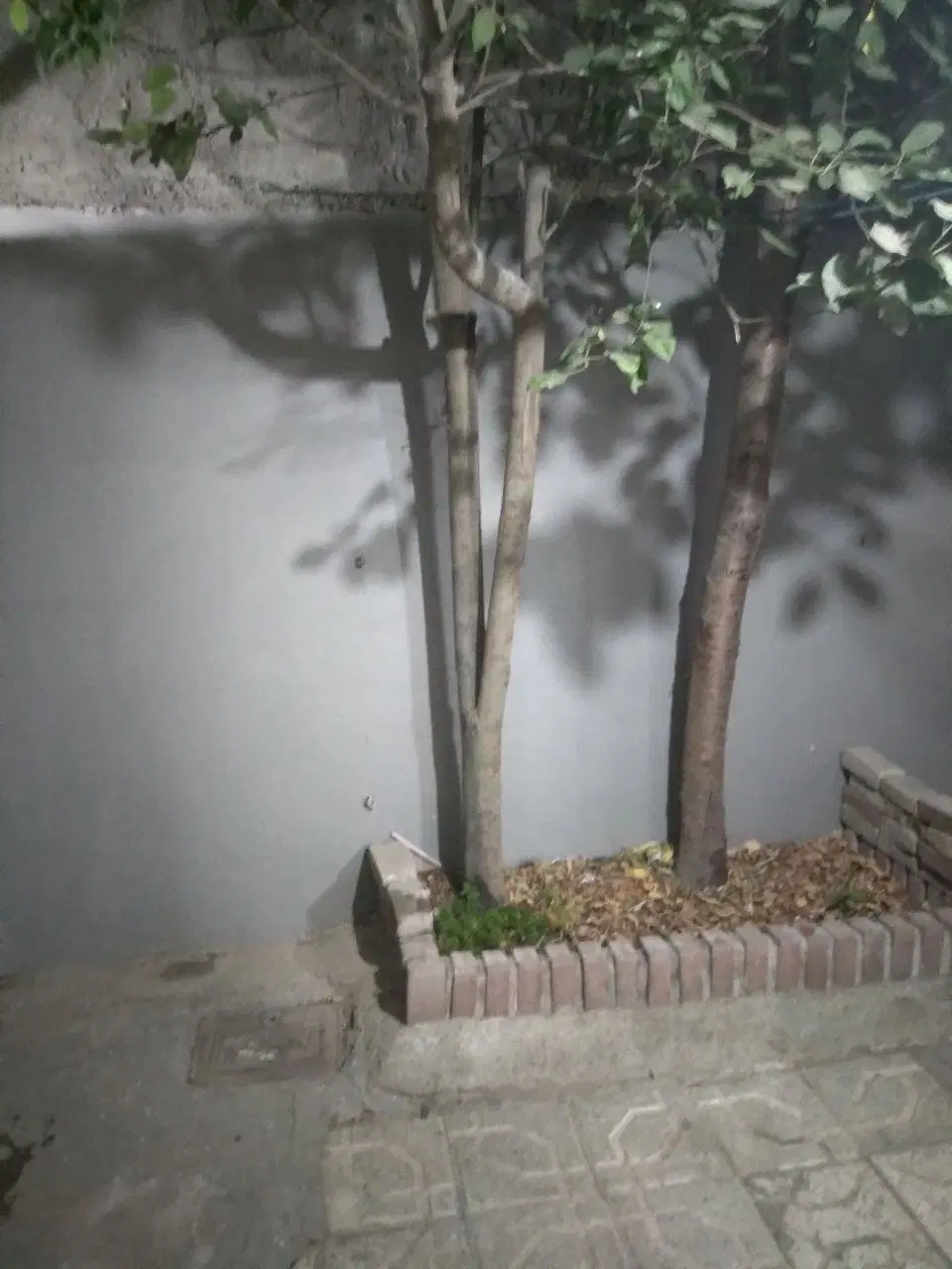 اجاره منزل دربست خواجه ربیع
