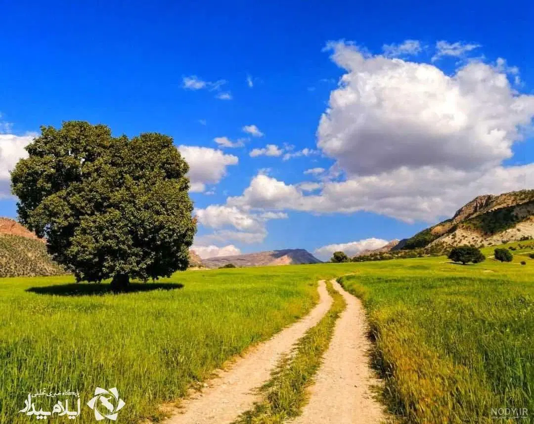 زمین جعفراباد میشخاص بخش سیوان