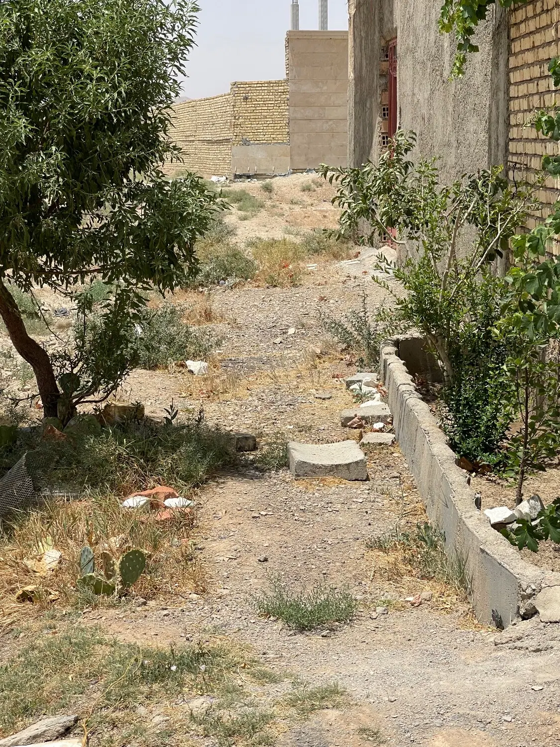 زمین ۱۰۵۰متر سند تک برگ مناسب برای سرمایه‌گذاری