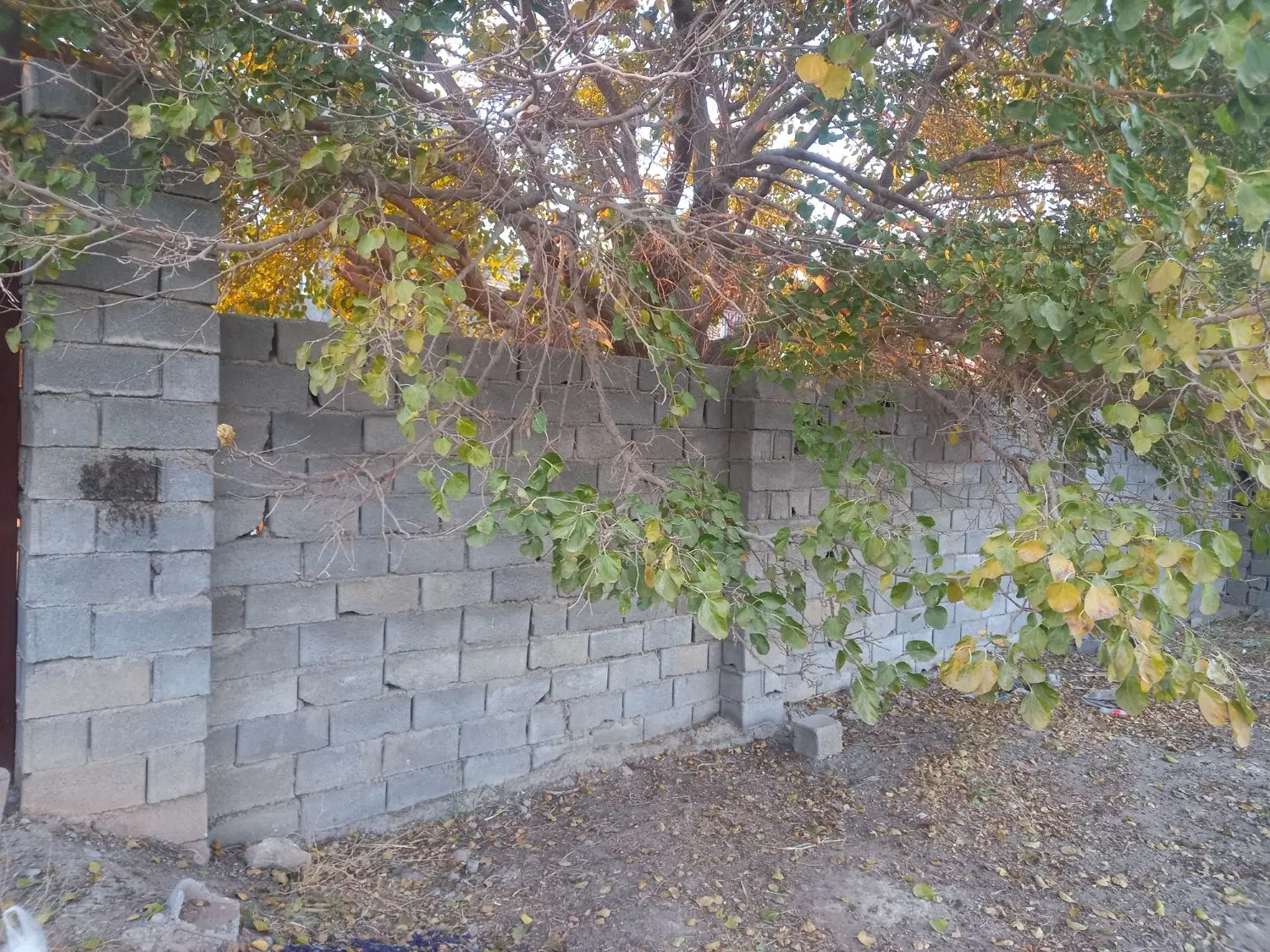 ۴۷۰متر زمین دور دیوار داخل بافت روستای گراب