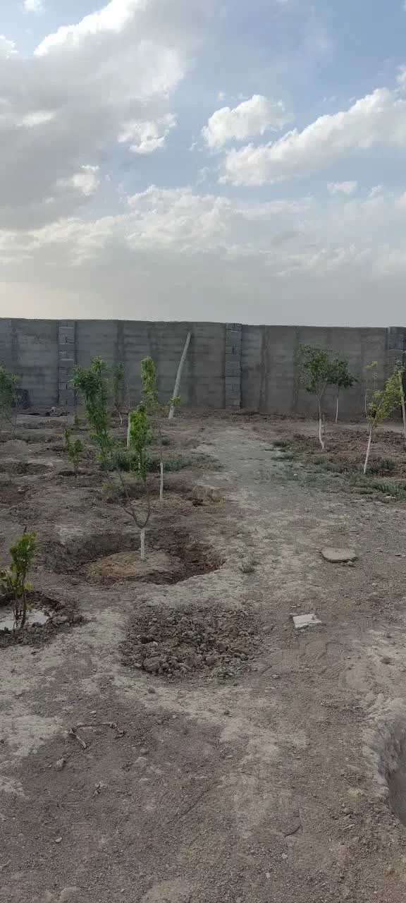 باغچه