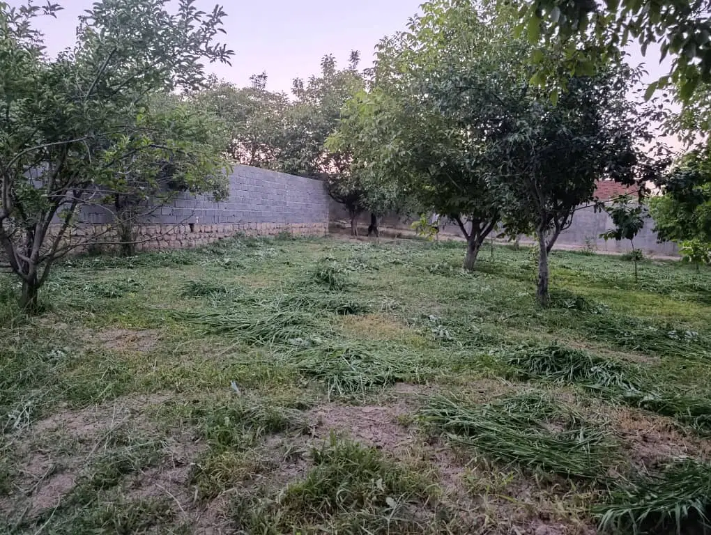 باغ بدرانلو