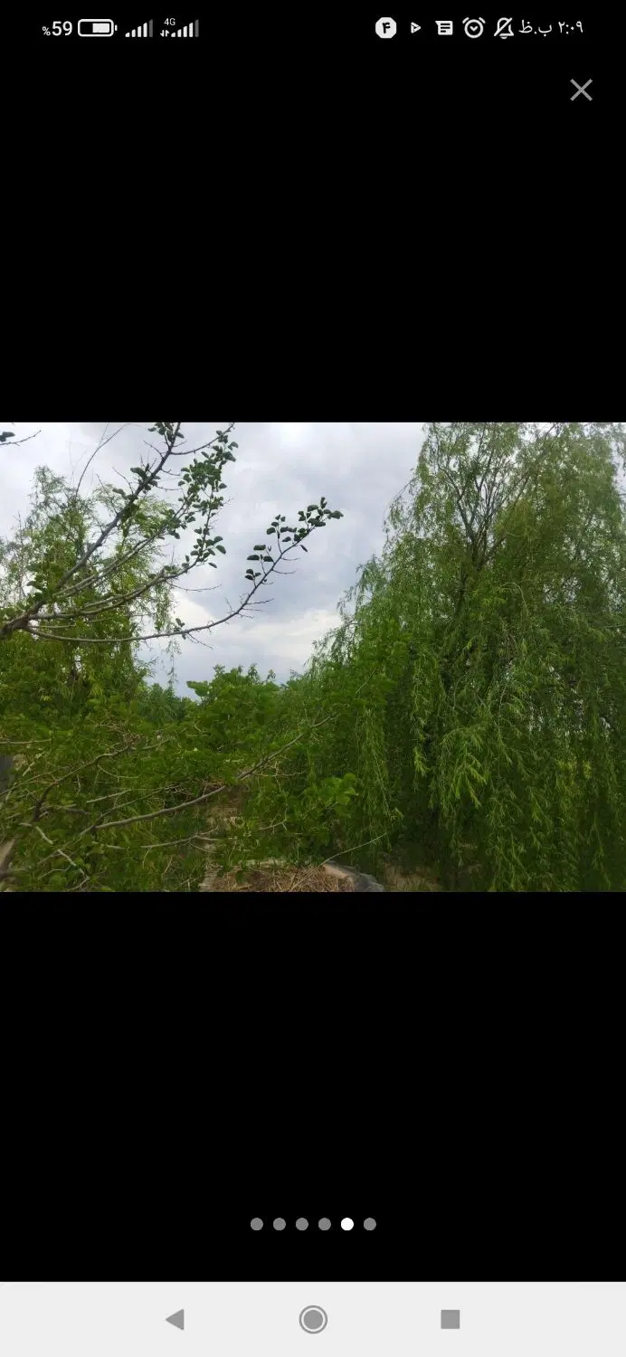 باغ وزمین کشاورزی