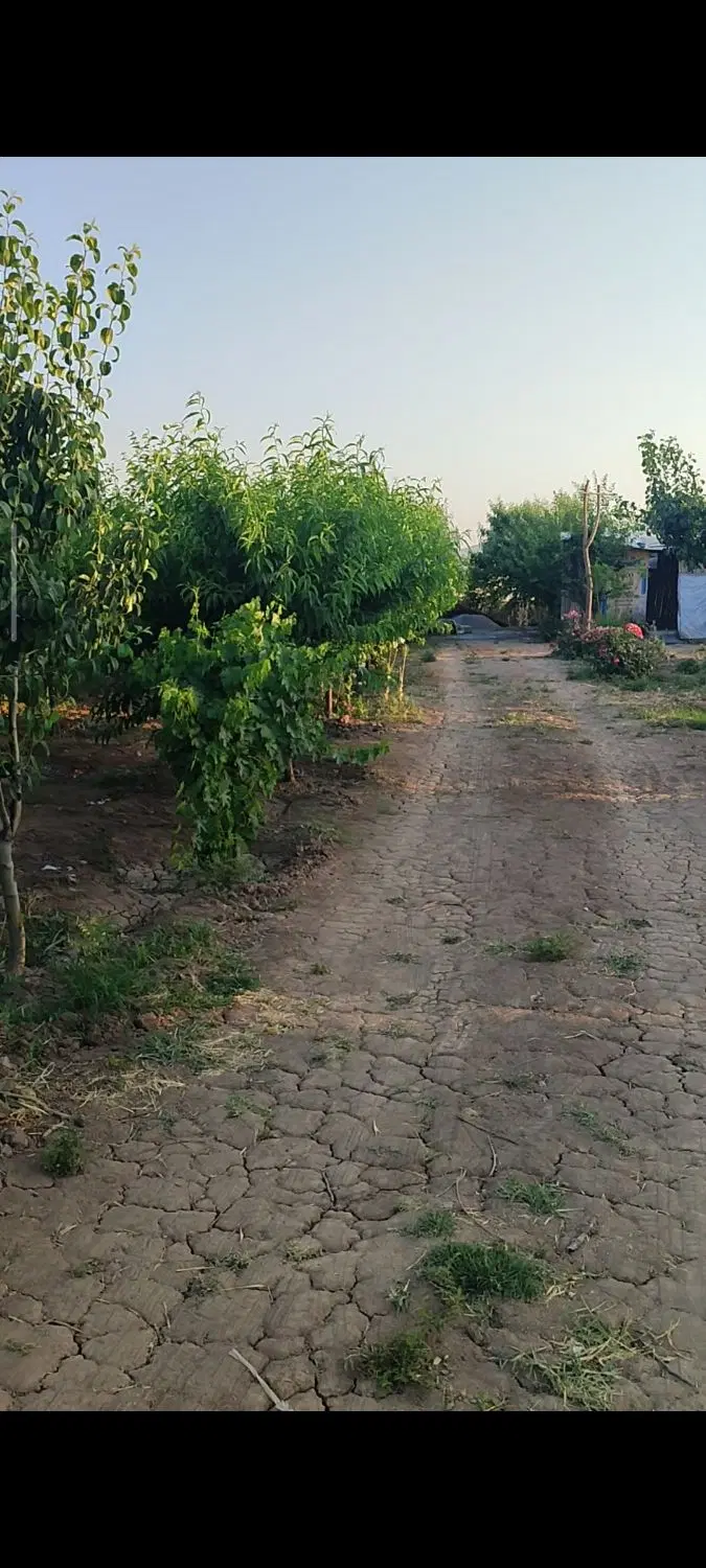 باغ