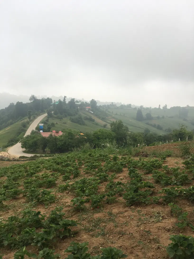 زمین واقع در روستای محمداباد بهشهر