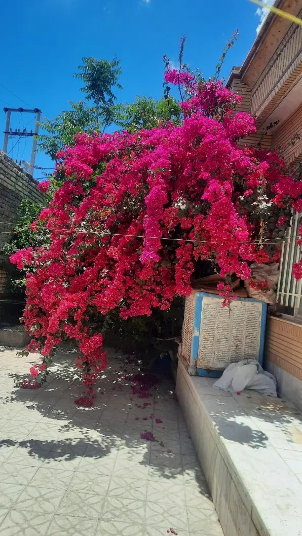 خانه اجاره ای راوند