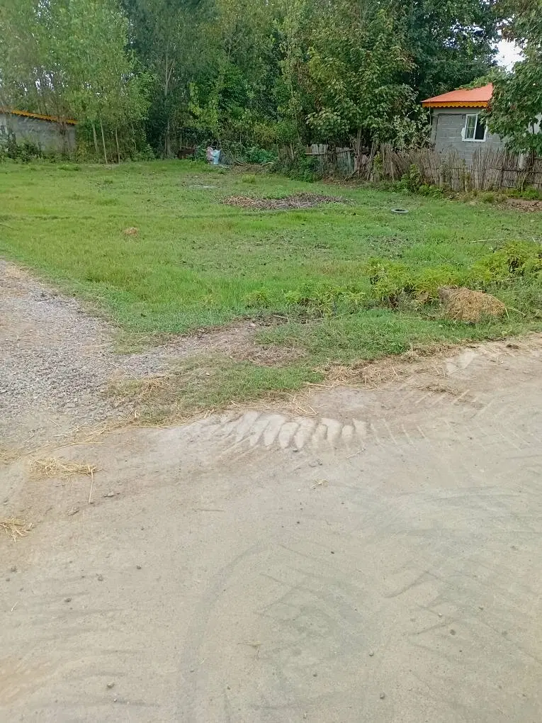 زمین روستایی ۲۰۴ متر