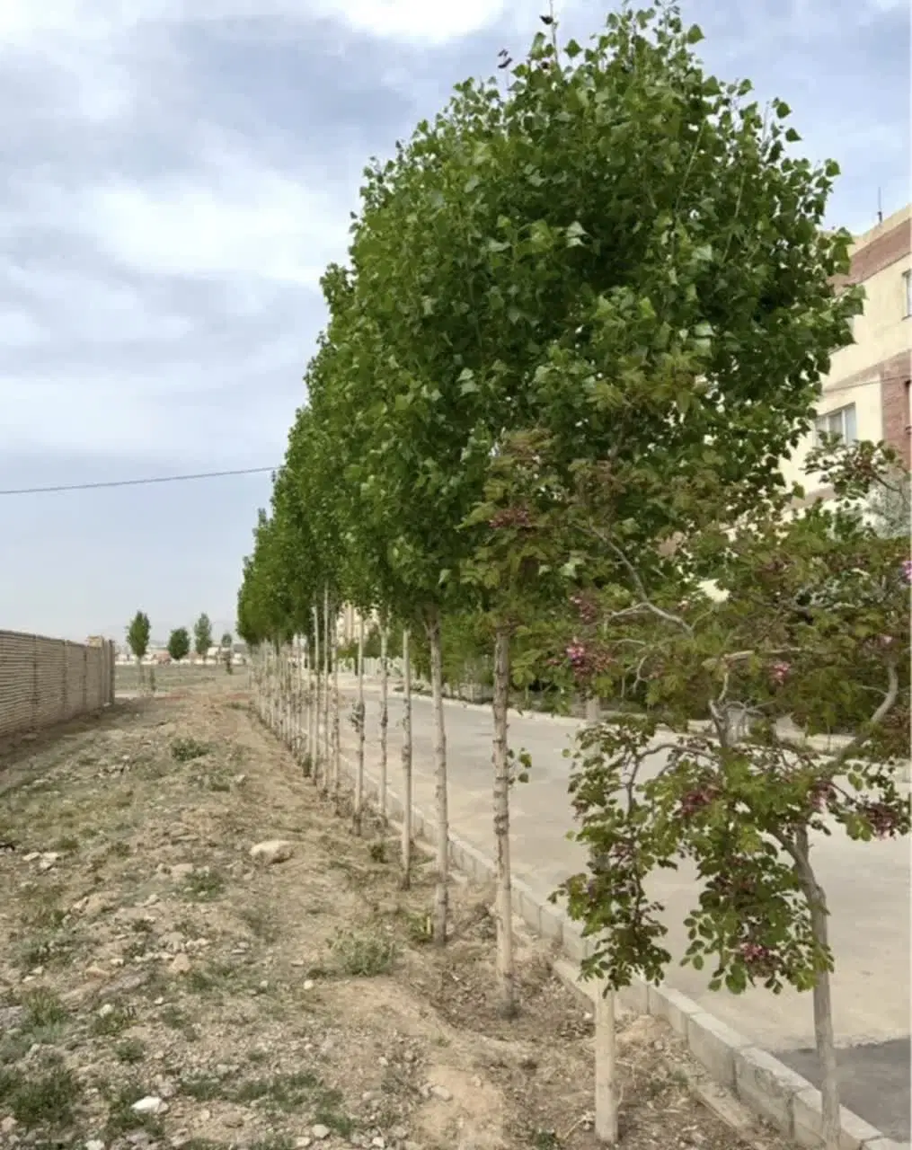 زمین آموزشی قابل تهاتر با ویلایی اپارتمان