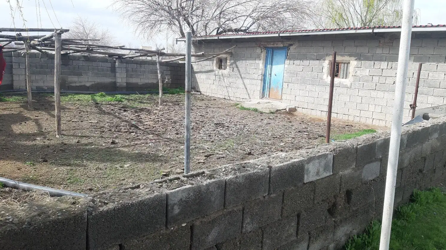دامداری و زمین گشاوری با تمام امکانات