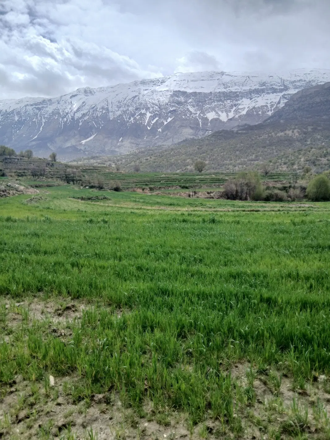 فروش زمین ۲۶۳متری قابل ساخت امیرکبیر