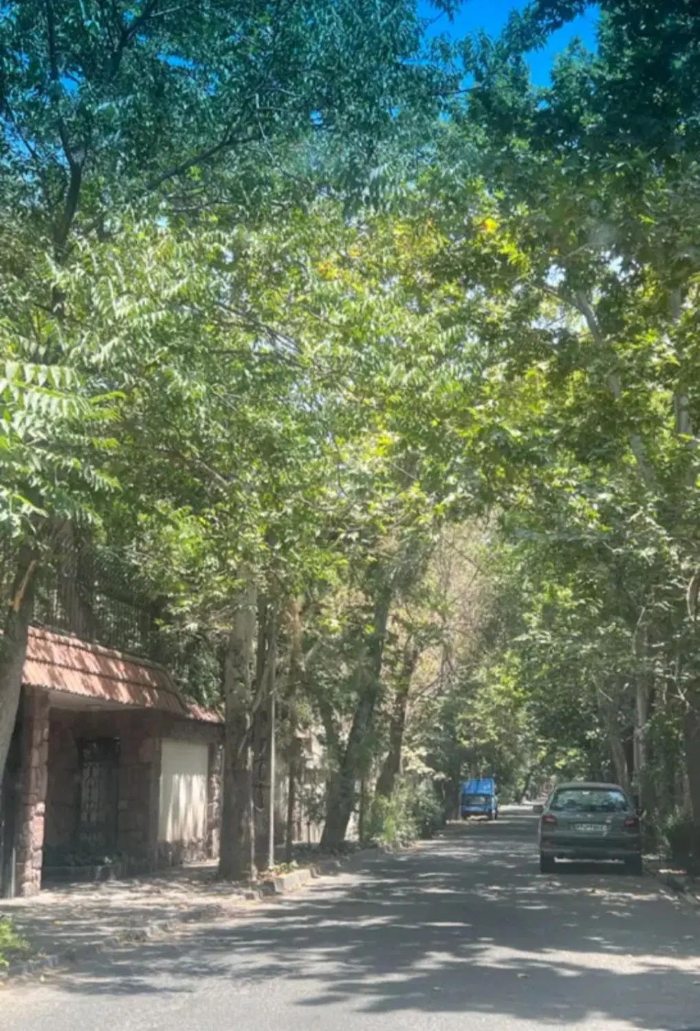 زمین مسکونی گاوخانه