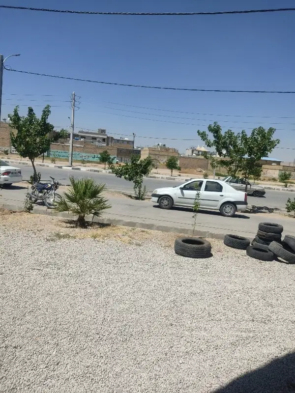 زمین کشاورزی فروشی 6 هکتار
