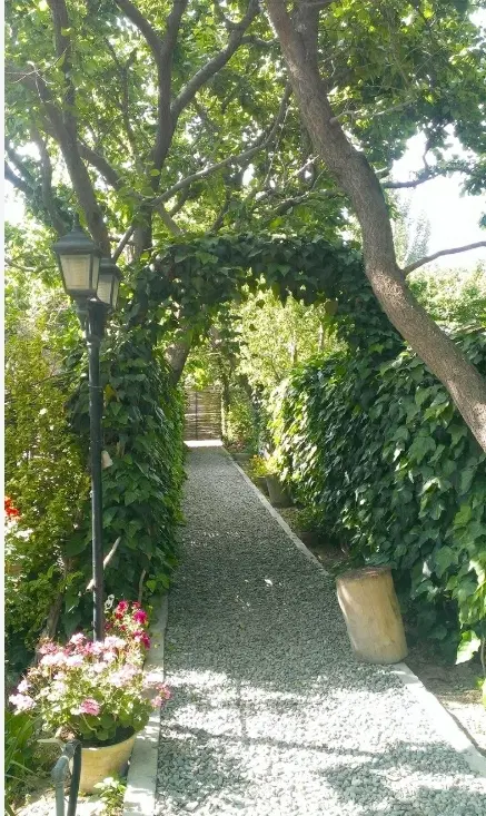 زمین باغی