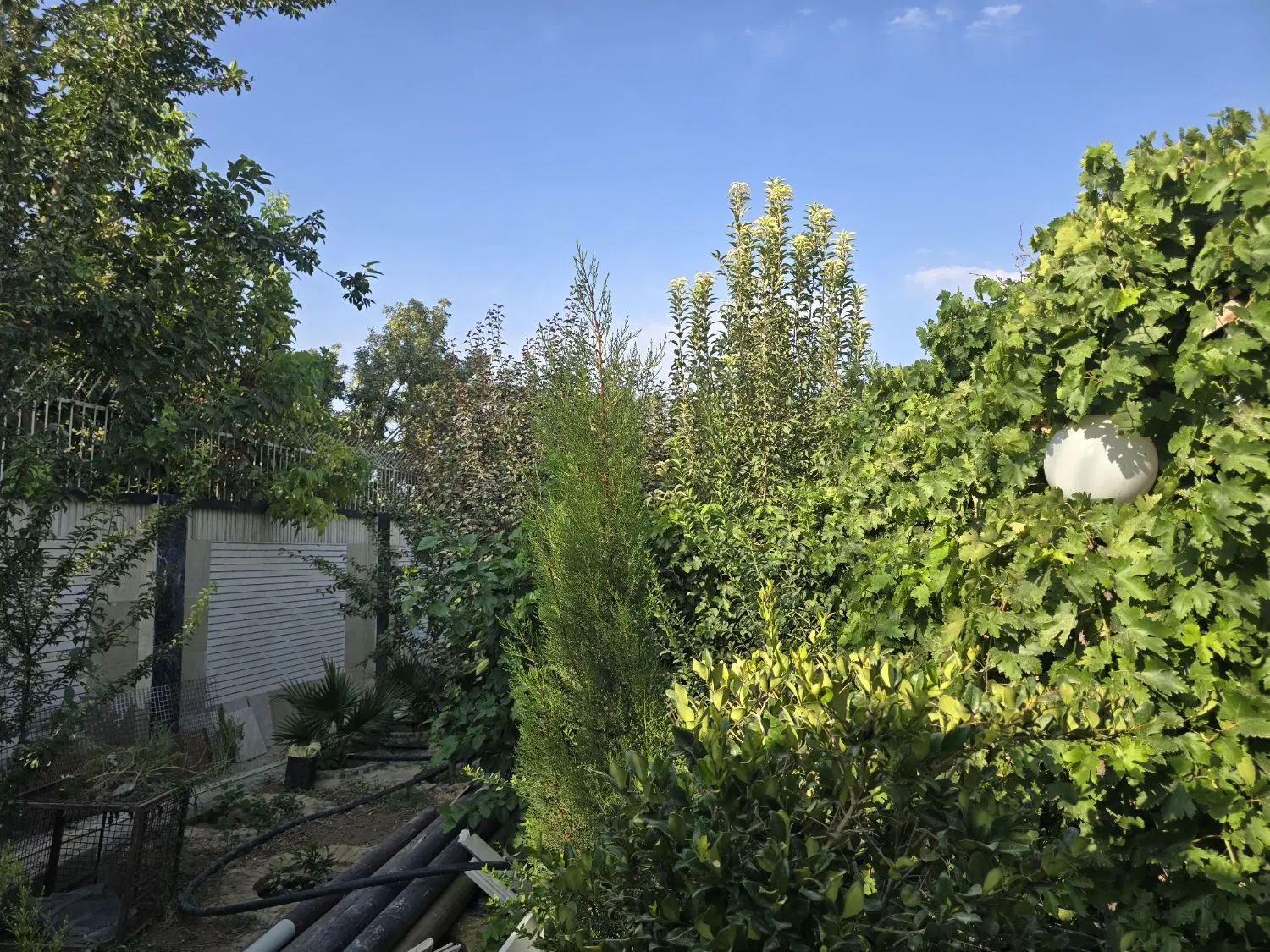خانه باغ سرسبز واقع در اشکاوند