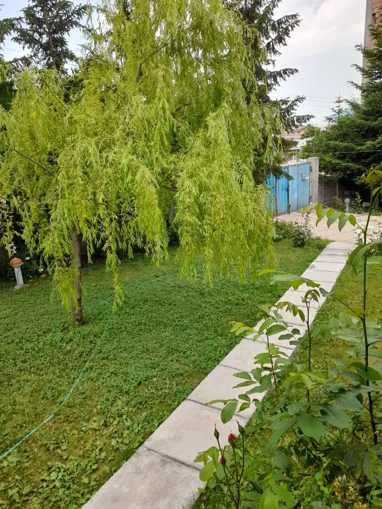 اجاره ی سوئیت