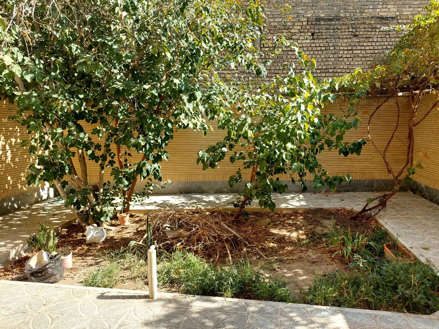 اجاره منزل طبقه هم کف