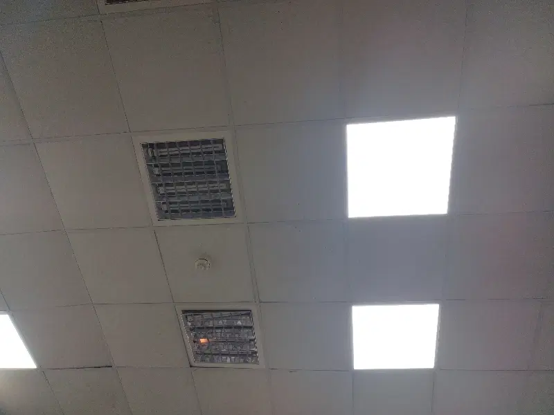 چهار واحده پردیس همکف