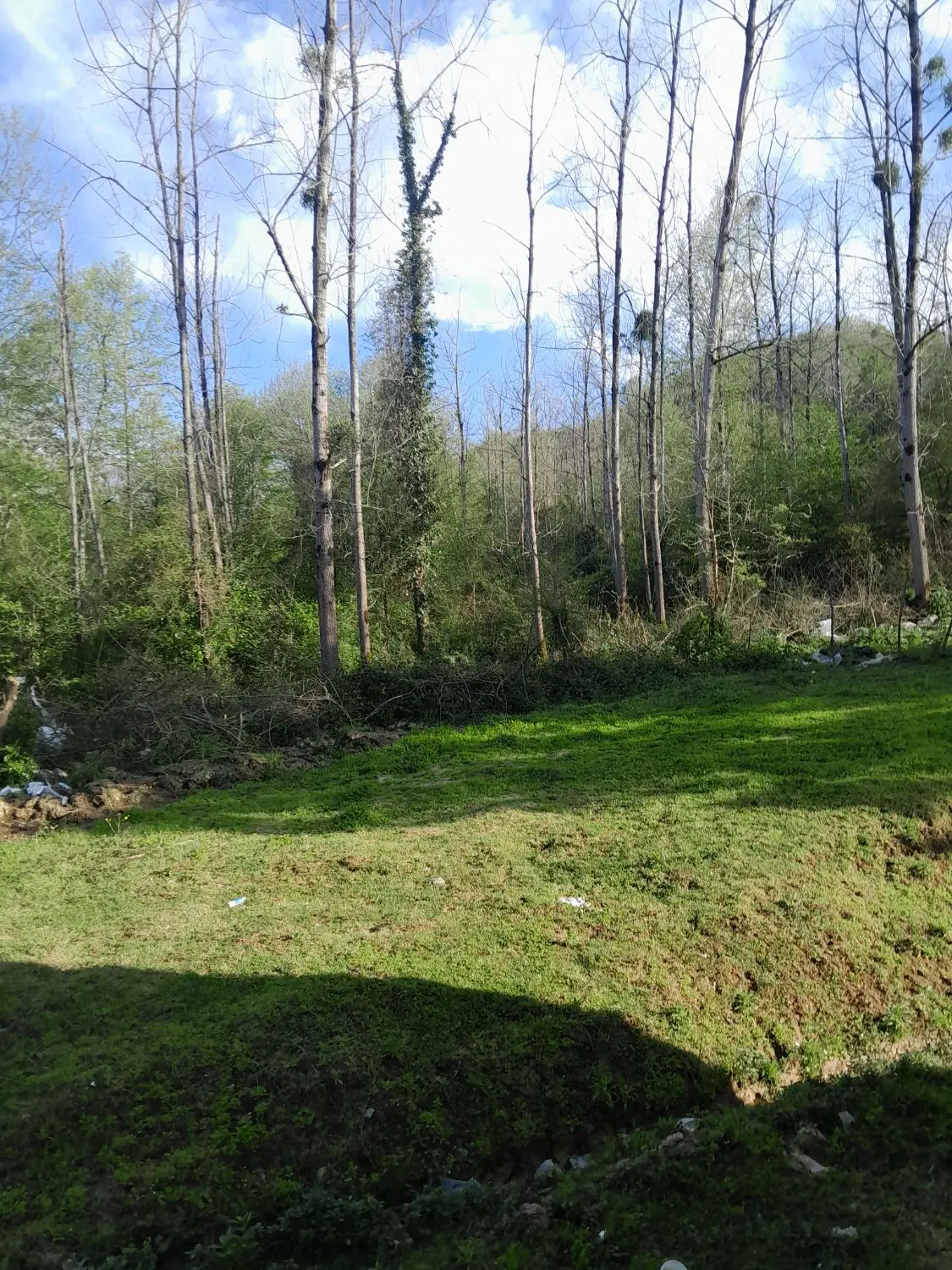کلبه چوبی رحمت