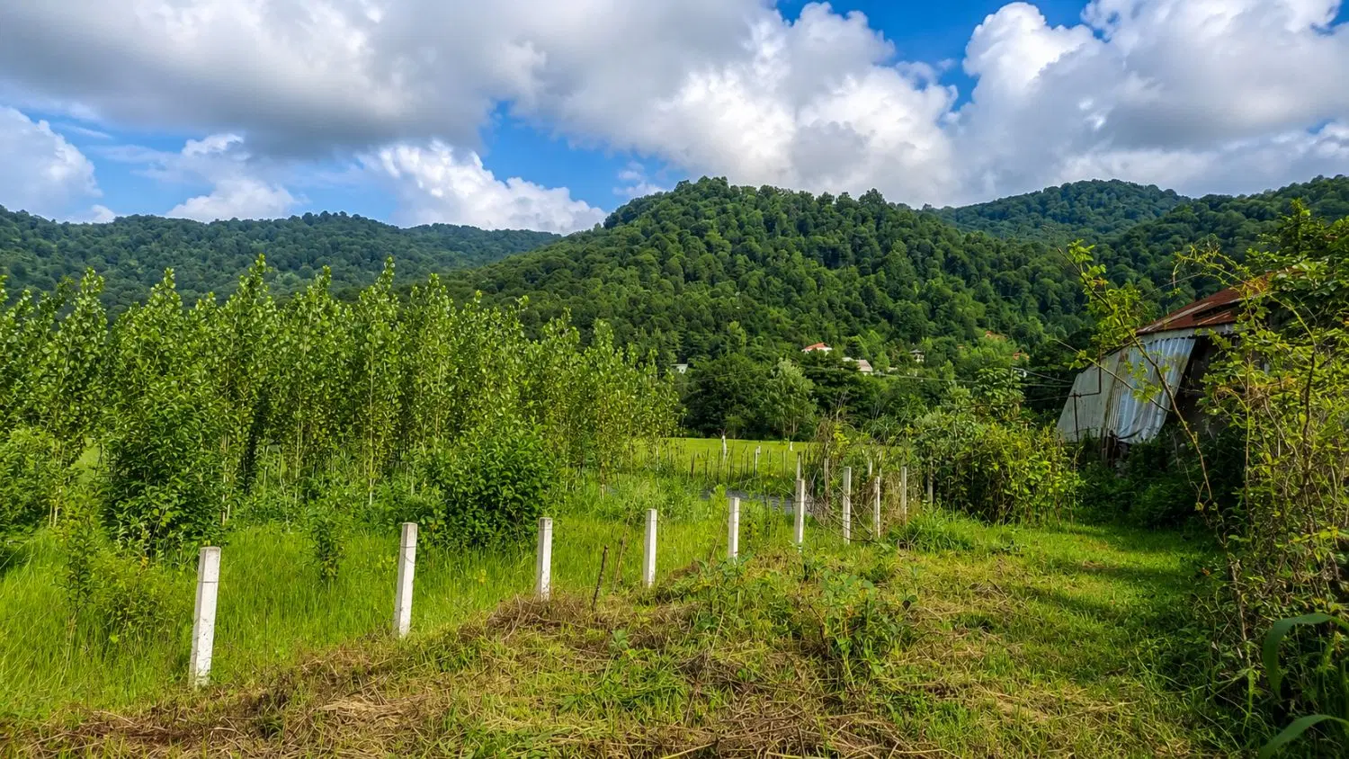 زمین با کاربری مسکونی در دل طبیعت بکر