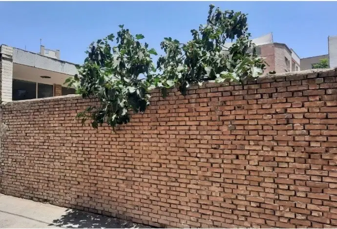 منزل کلنگی به مساحت ۲۵۸متر مربع