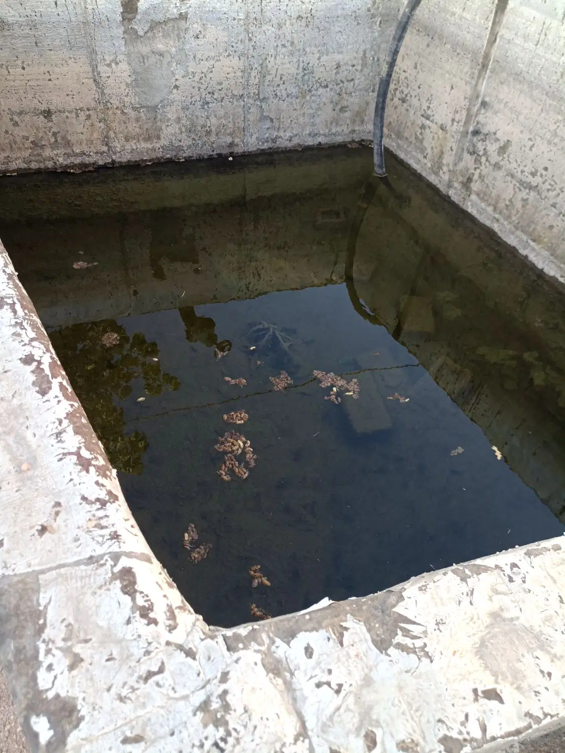 باغ خوش جا مناسب ساخت ویلا